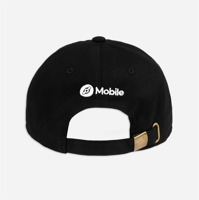sketches dad hat